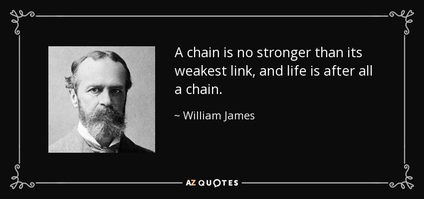 A chain is no stronger than its weakest link, and life is after all a chain. - William James