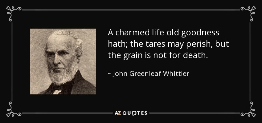 A charmed life old goodness hath; the tares may perish, but the grain is not for death. - John Greenleaf Whittier