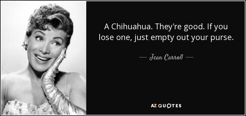 A Chihuahua. They're good. If you lose one, just empty out your purse. - Jean Carroll