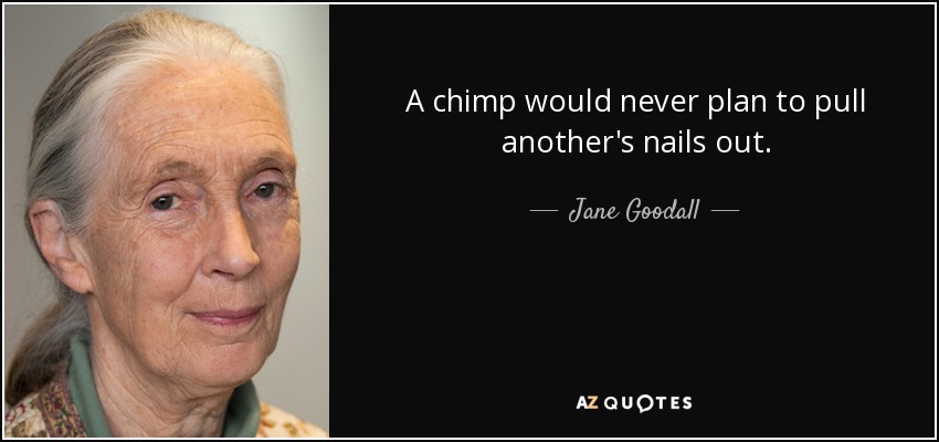 A chimp would never plan to pull another's nails out. - Jane Goodall