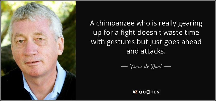 A chimpanzee who is really gearing up for a fight doesn't waste time with gestures but just goes ahead and attacks. - Frans de Waal