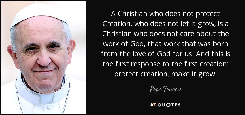 A Christian who does not protect Creation, who does not let it grow, is a Christian who does not care about the work of God, that work that was born from the love of God for us. And this is the first response to the first creation: protect creation, make it grow. - Pope Francis