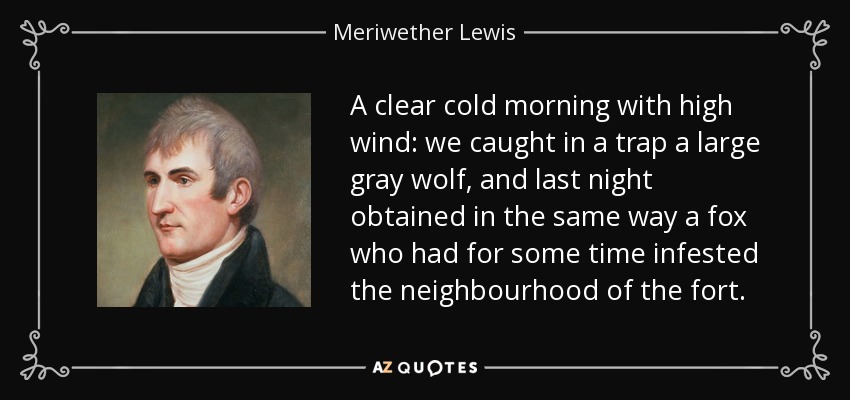 A clear cold morning with high wind: we caught in a trap a large gray wolf, and last night obtained in the same way a fox who had for some time infested the neighbourhood of the fort. - Meriwether Lewis