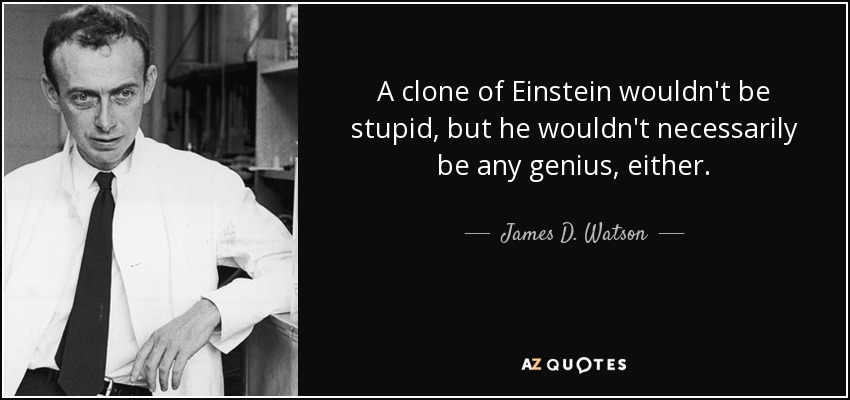A clone of Einstein wouldn't be stupid, but he wouldn't necessarily be any genius, either. - James D. Watson