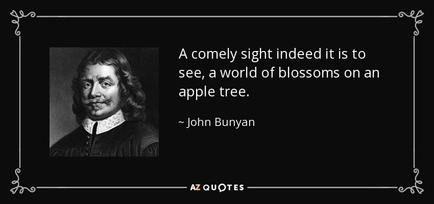 A comely sight indeed it is to see, a world of blossoms on an apple tree. - John Bunyan