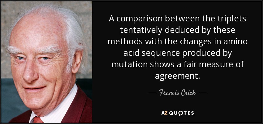 A comparison between the triplets tentatively deduced by these methods with the changes in amino acid sequence produced by mutation shows a fair measure of agreement. - Francis Crick