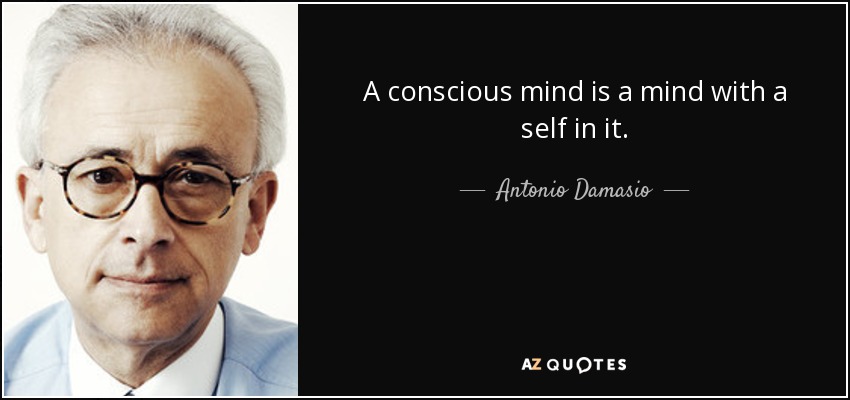 A conscious mind is a mind with a self in it. - Antonio Damasio