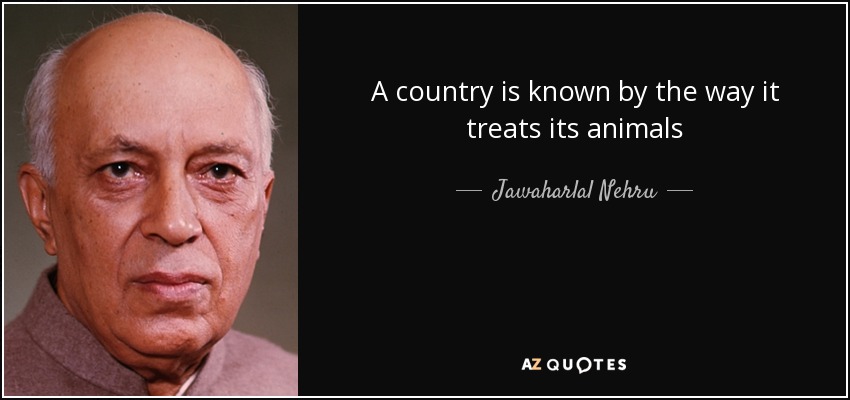 A country is known by the way it treats its animals - Jawaharlal Nehru