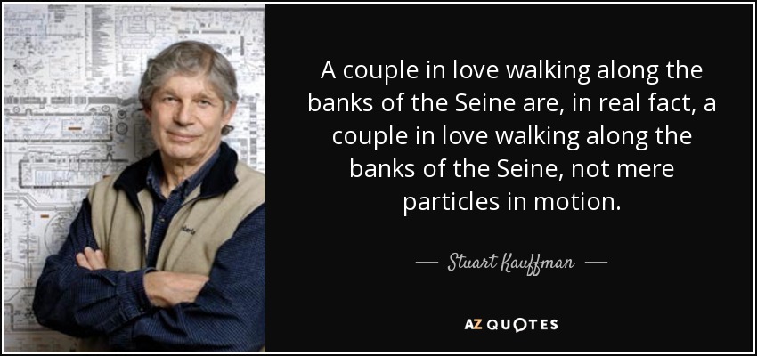 A couple in love walking along the banks of the Seine are, in real fact, a couple in love walking along the banks of the Seine, not mere particles in motion. - Stuart Kauffman