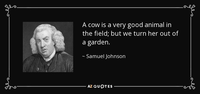 A cow is a very good animal in the field; but we turn her out of a garden. - Samuel Johnson