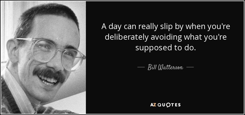 A day can really slip by when you're deliberately avoiding what you're supposed to do. - Bill Watterson