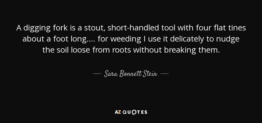 A digging fork is a stout, short-handled tool with four flat tines about a foot long.... for weeding I use it delicately to nudge the soil loose from roots without breaking them. - Sara Bonnett Stein