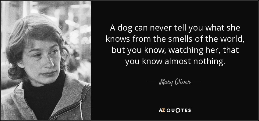 A dog can never tell you what she knows from the smells of the world, but you know, watching her, that you know almost nothing. - Mary Oliver
