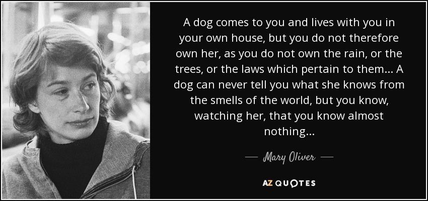 A dog comes to you and lives with you in your own house, but you do not therefore own her, as you do not own the rain, or the trees, or the laws which pertain to them ... A dog can never tell you what she knows from the smells of the world, but you know, watching her, that you know almost nothing. . . - Mary Oliver