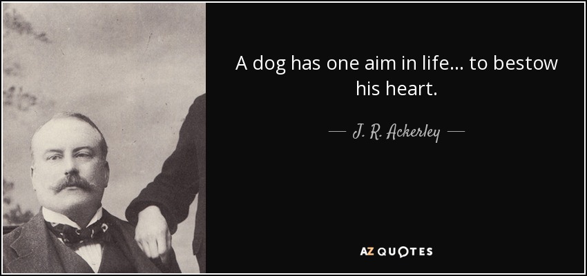 A dog has one aim in life... to bestow his heart. - J. R. Ackerley