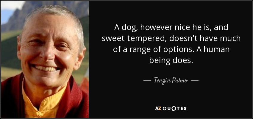 A dog, however nice he is, and sweet-tempered, doesn't have much of a range of options. A human being does. - Tenzin Palmo