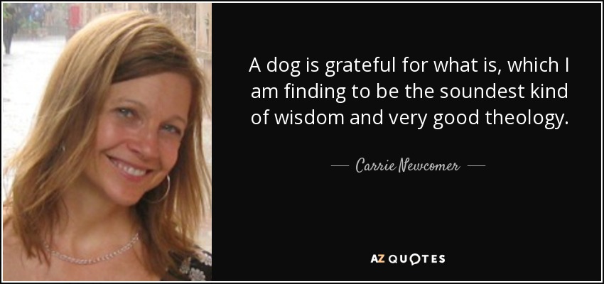 A dog is grateful for what is, which I am finding to be the soundest kind of wisdom and very good theology. - Carrie Newcomer