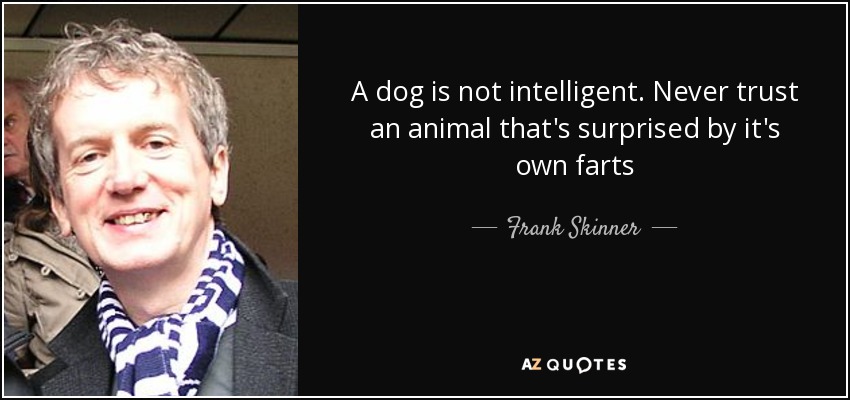 A dog is not intelligent. Never trust an animal that's surprised by it's own farts - Frank Skinner