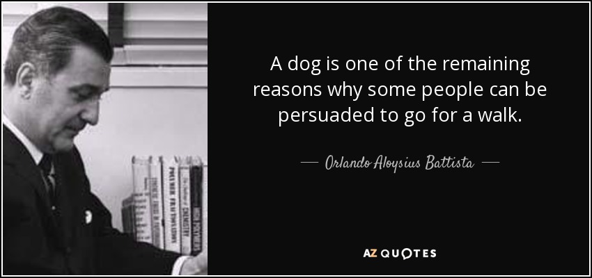 A dog is one of the remaining reasons why some people can be persuaded to go for a walk. - Orlando Aloysius Battista