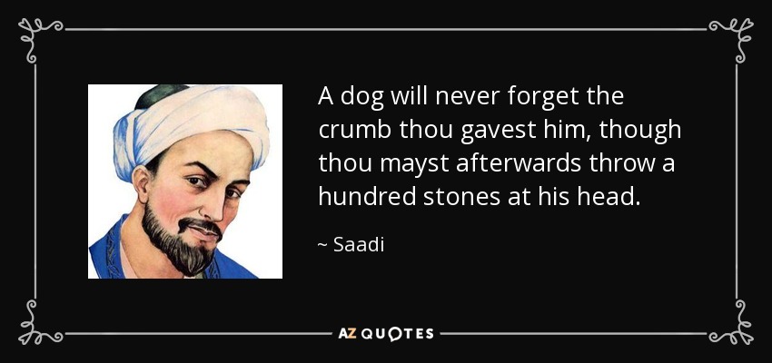 A dog will never forget the crumb thou gavest him, though thou mayst afterwards throw a hundred stones at his head. - Saadi