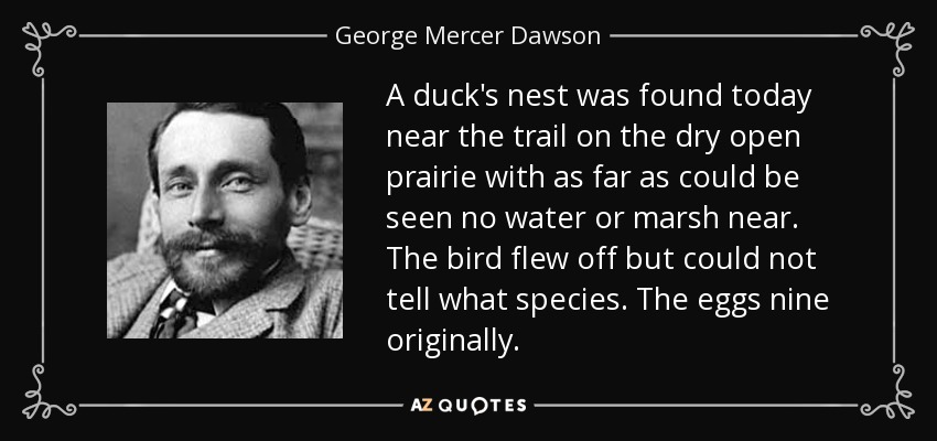 A duck's nest was found today near the trail on the dry open prairie with as far as could be seen no water or marsh near. The bird flew off but could not tell what species. The eggs nine originally. - George Mercer Dawson