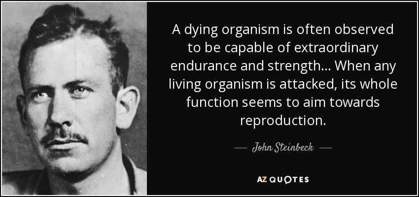 A dying organism is often observed to be capable of extraordinary endurance and strength. .. When any living organism is attacked, its whole function seems to aim towards reproduction. - John Steinbeck