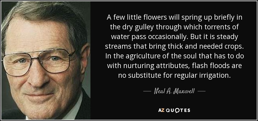 A few little flowers will spring up briefly in the dry gulley through which torrents of water pass occasionally. But it is steady streams that bring thick and needed crops. In the agriculture of the soul that has to do with nurturing attributes, flash floods are no substitute for regular irrigation. - Neal A. Maxwell