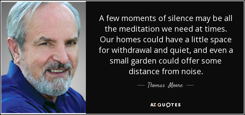 A few moments of silence may be all the meditation we need at times. Our homes could have a little space for withdrawal and quiet, and even a small garden could offer some distance from noise. - Thomas  Moore