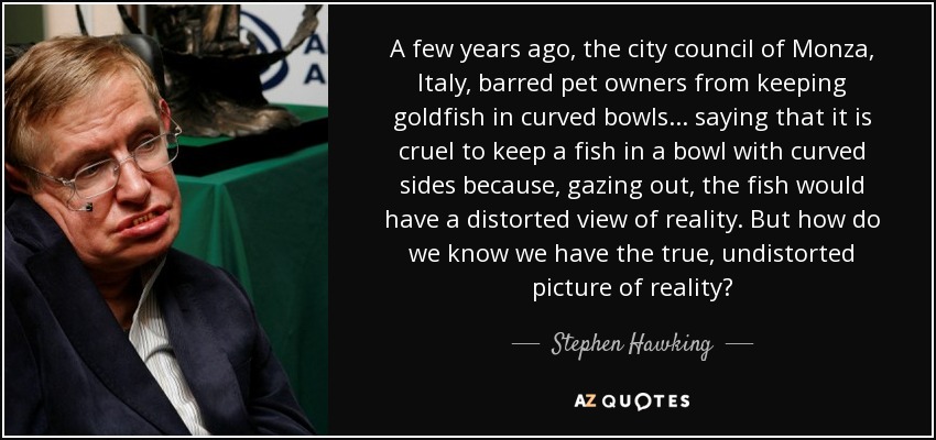A few years ago, the city council of Monza, Italy, barred pet owners from keeping goldfish in curved bowls... saying that it is cruel to keep a fish in a bowl with curved sides because, gazing out, the fish would have a distorted view of reality. But how do we know we have the true, undistorted picture of reality? - Stephen Hawking