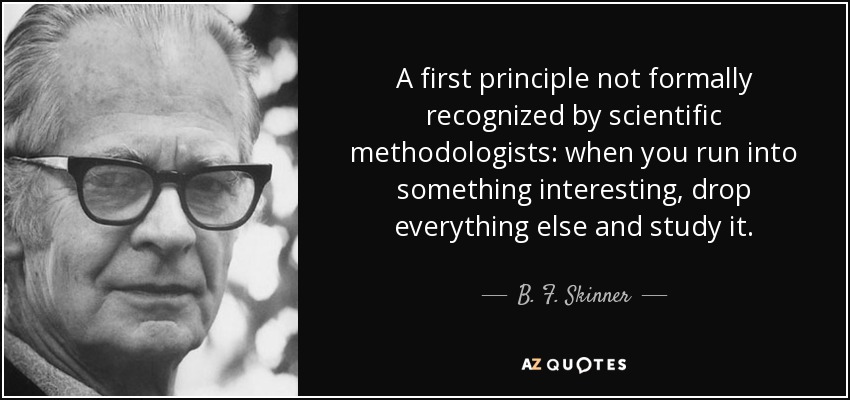 A first principle not formally recognized by scientific methodologists: when you run into something interesting, drop everything else and study it. - B. F. Skinner