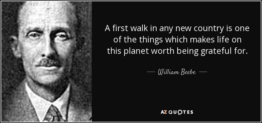 A first walk in any new country is one of the things which makes life on this planet worth being grateful for. - William Beebe