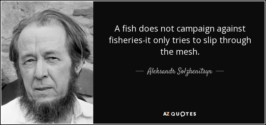 A fish does not campaign against fisheries-it only tries to slip through the mesh. - Aleksandr Solzhenitsyn