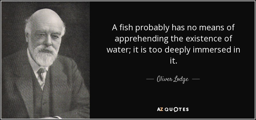 A fish probably has no means of apprehending the existence of water; it is too deeply immersed in it. - Oliver Lodge