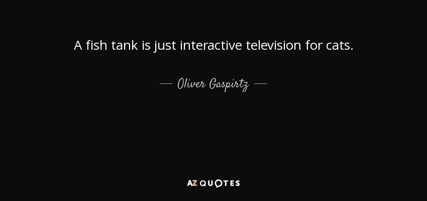 A fish tank is just interactive television for cats. - Oliver Gaspirtz