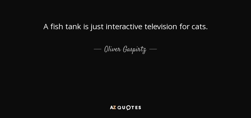 A fish tank is just interactive television for cats. - Oliver Gaspirtz