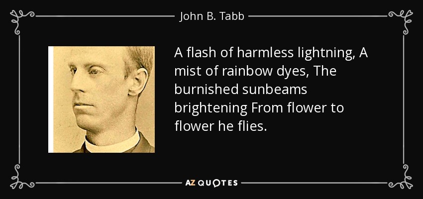 A flash of harmless lightning, A mist of rainbow dyes, The burnished sunbeams brightening From flower to flower he flies. - John B. Tabb