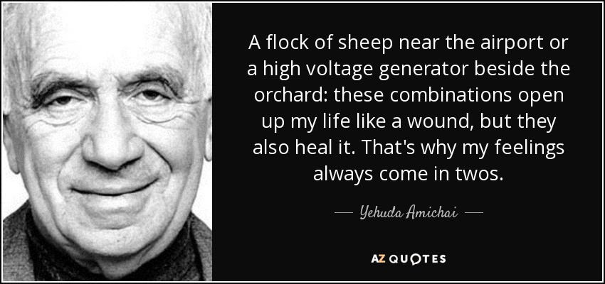 A flock of sheep near the airport or a high voltage generator beside the orchard: these combinations open up my life like a wound, but they also heal it. That's why my feelings always come in twos. - Yehuda Amichai