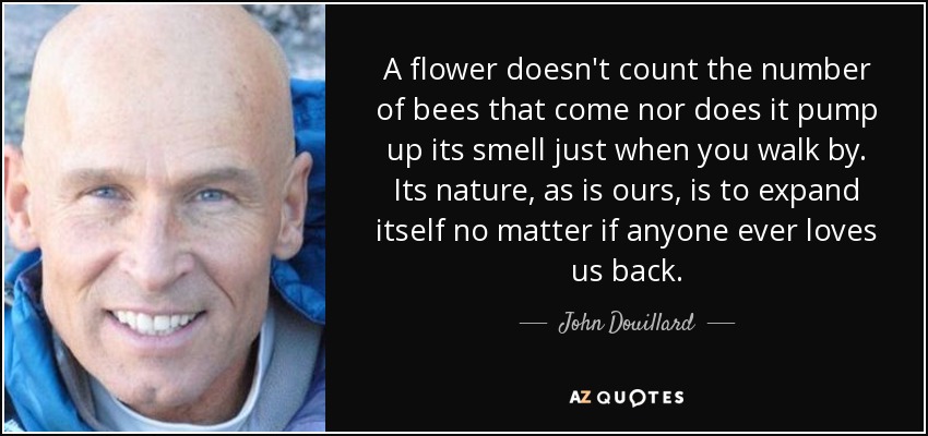 A flower doesn't count the number of bees that come nor does it pump up its smell just when you walk by. Its nature, as is ours, is to expand itself no matter if anyone ever loves us back. - John Douillard