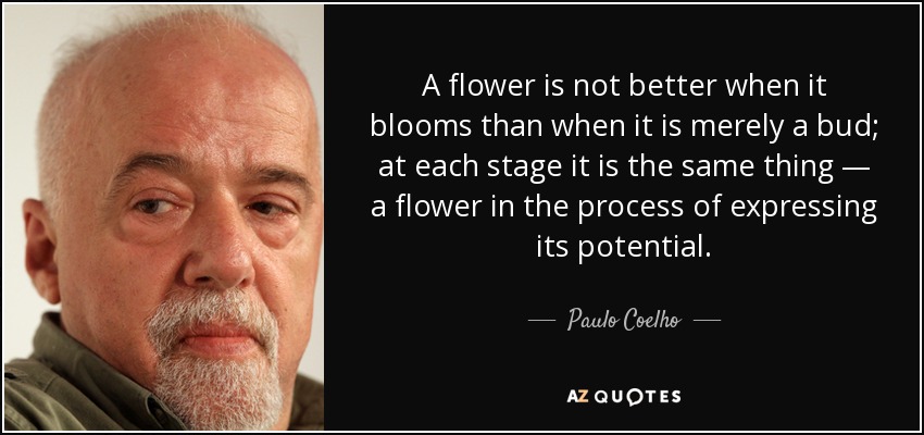 A flower is not better when it blooms than when it is merely a bud; at each stage it is the same thing — a flower in the process of expressing its potential. - Paulo Coelho