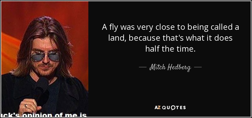 A fly was very close to being called a land, because that's what it does half the time. - Mitch Hedberg