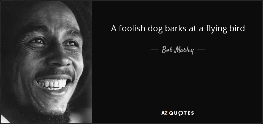 A foolish dog barks at a flying bird - Bob Marley