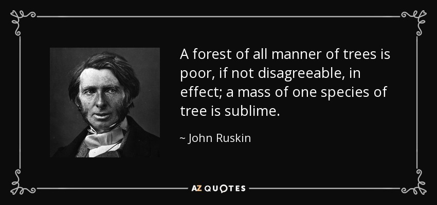 A forest of all manner of trees is poor, if not disagreeable, in effect; a mass of one species of tree is sublime. - John Ruskin
