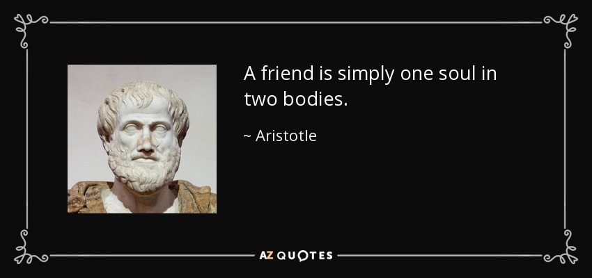 A friend is simply one soul in two bodies. - Aristotle