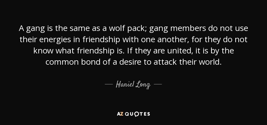 A gang is the same as a wolf pack; gang members do not use their energies in friendship with one another, for they do not know what friendship is. If they are united, it is by the common bond of a desire to attack their world. - Haniel Long
