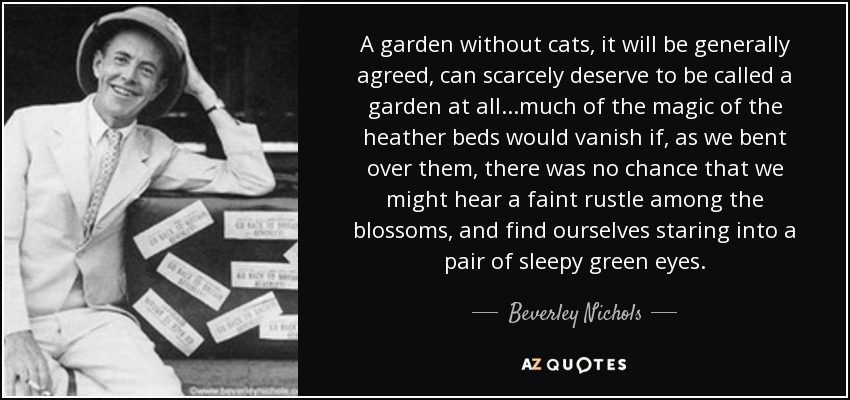 A garden without cats, it will be generally agreed, can scarcely deserve to be called a garden at all...much of the magic of the heather beds would vanish if, as we bent over them, there was no chance that we might hear a faint rustle among the blossoms, and find ourselves staring into a pair of sleepy green eyes. - Beverley Nichols