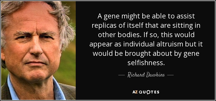 A gene might be able to assist replicas of itself that are sitting in other bodies. If so, this would appear as individual altruism but it would be brought about by gene selfishness. - Richard Dawkins