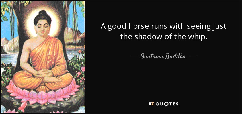 A good horse runs with seeing just the shadow of the whip. - Gautama Buddha