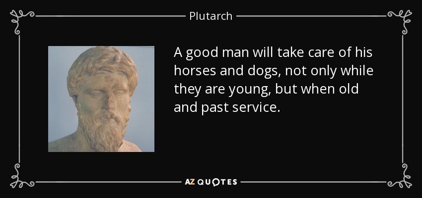 A good man will take care of his horses and dogs, not only while they are young, but when old and past service. - Plutarch