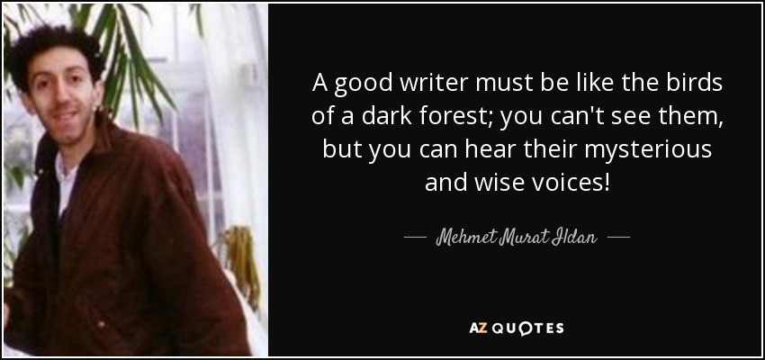 A good writer must be like the birds of a dark forest; you can't see them, but you can hear their mysterious and wise voices! - Mehmet Murat Ildan