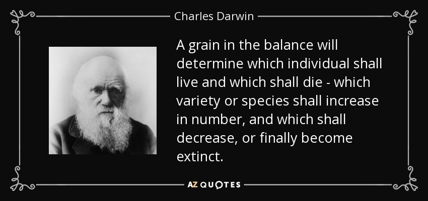 A grain in the balance will determine which individual shall live and which shall die - which variety or species shall increase in number, and which shall decrease, or finally become extinct. - Charles Darwin